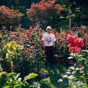 在线观看成人网站a
