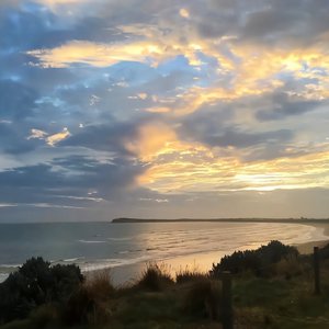 在线观看成人网站a
