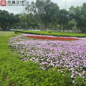 在线观看成人网站a
